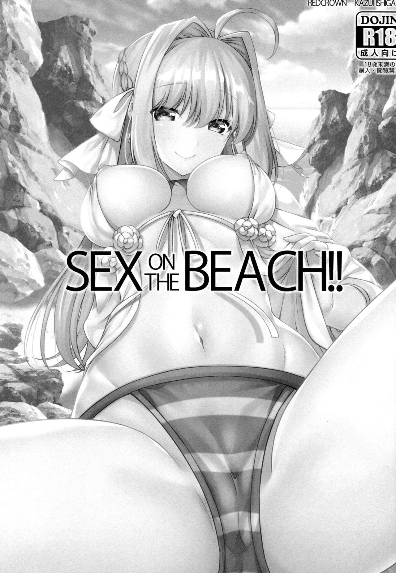 (C96) [RED CROWN (石神一威)] SEX ON THE BEACH!! (Fate/Grand Order)