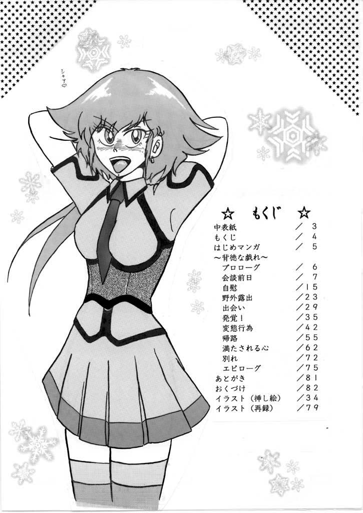 [たつみ] 「ハマーン様Book 2008冬 背徳な戯れ」用おまけマンガ・他