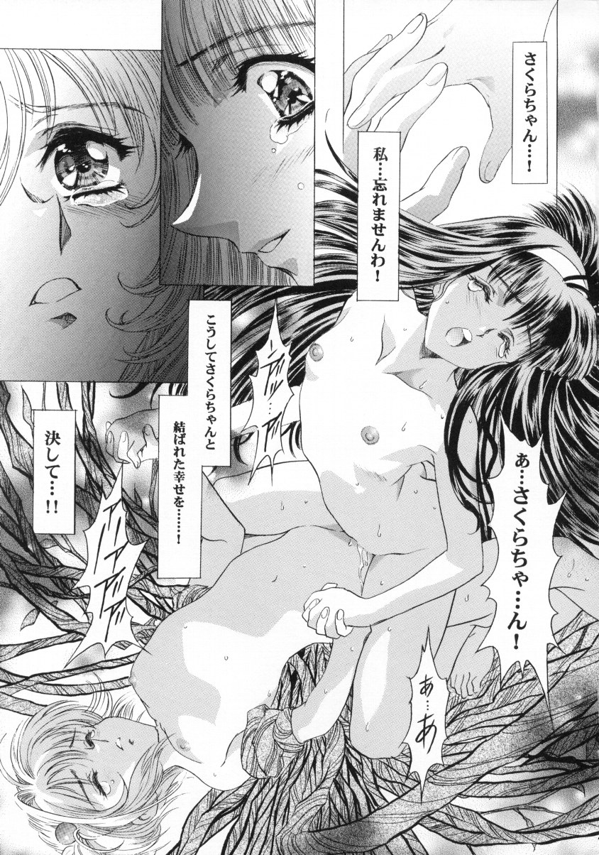 (C58) [片励会 (かわらじま晃)] 桜飴ファイナル (下巻) (カードキャプターさくら)