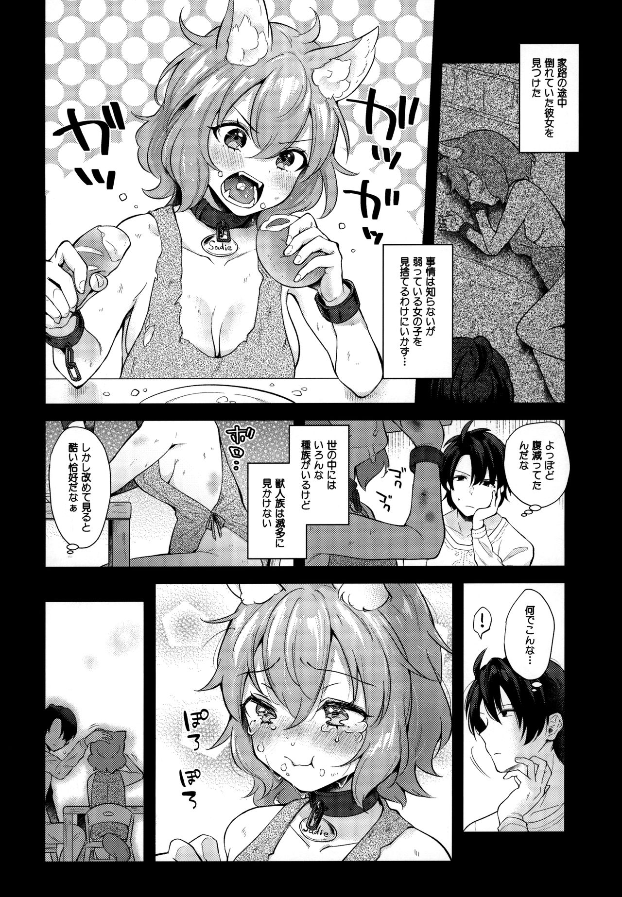 (みみけっと43) [日本ケモ耳推奨委員会 (よろず)] けもけもみみみみ