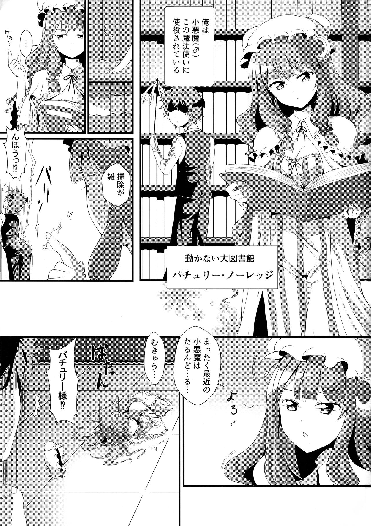 (C95) [おもち☆バズーカ (ディーゴ)] むっきゅんパチェみるく (東方Project)
