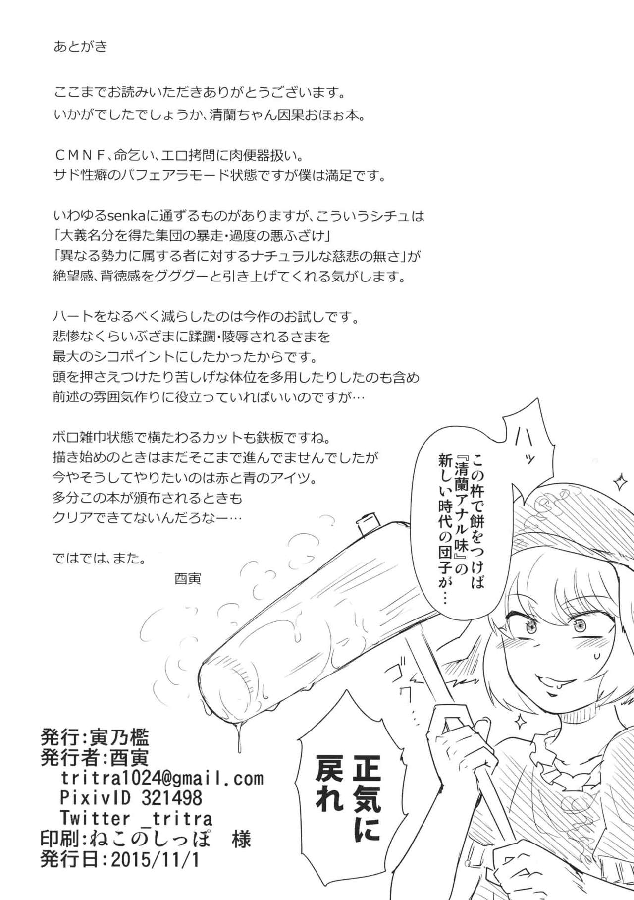 (紅楼夢11) [寅乃檻 (酉寅)] センニュウニシッパイシマシタ。 (東方Project) [英訳]