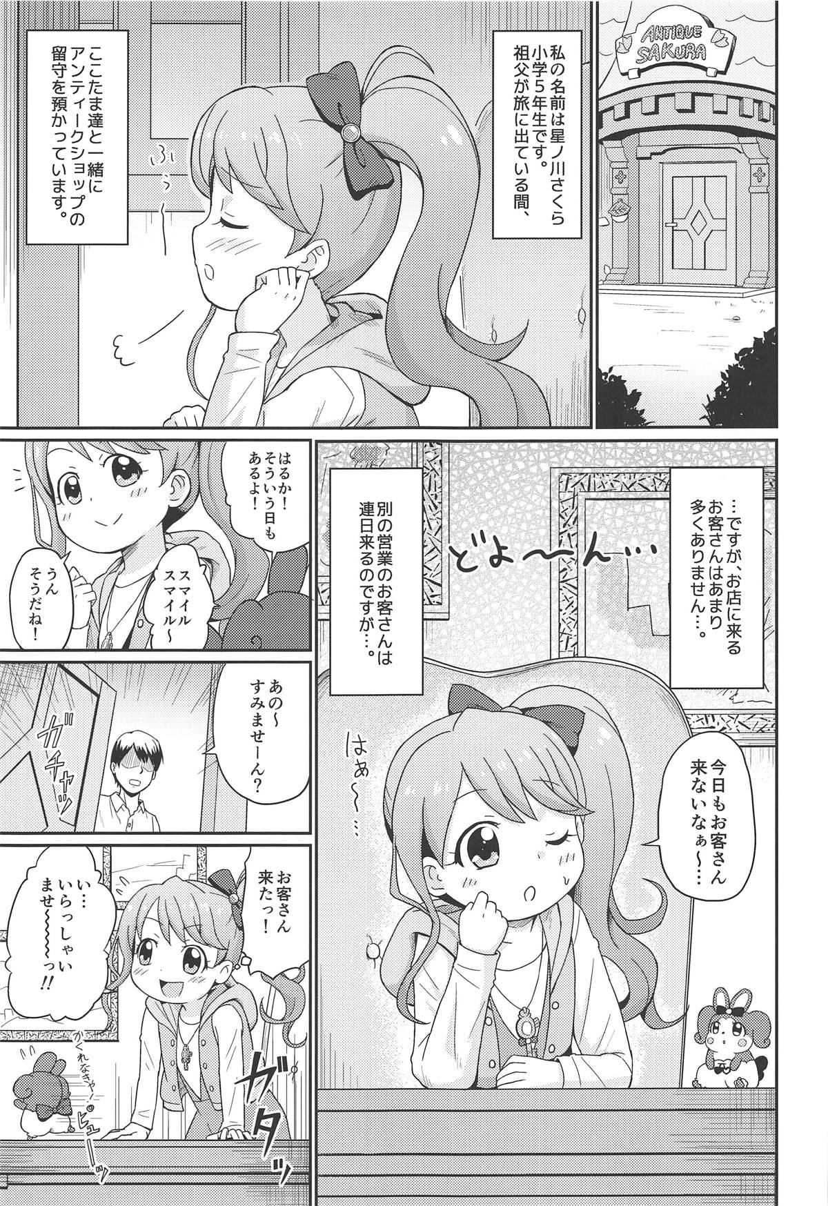 (ぷにケット39) [鳥の屋 (ましこどり)] ヒミツの☆守り隊活動 (キラキラハッピー★ ひらけ!ここたま)