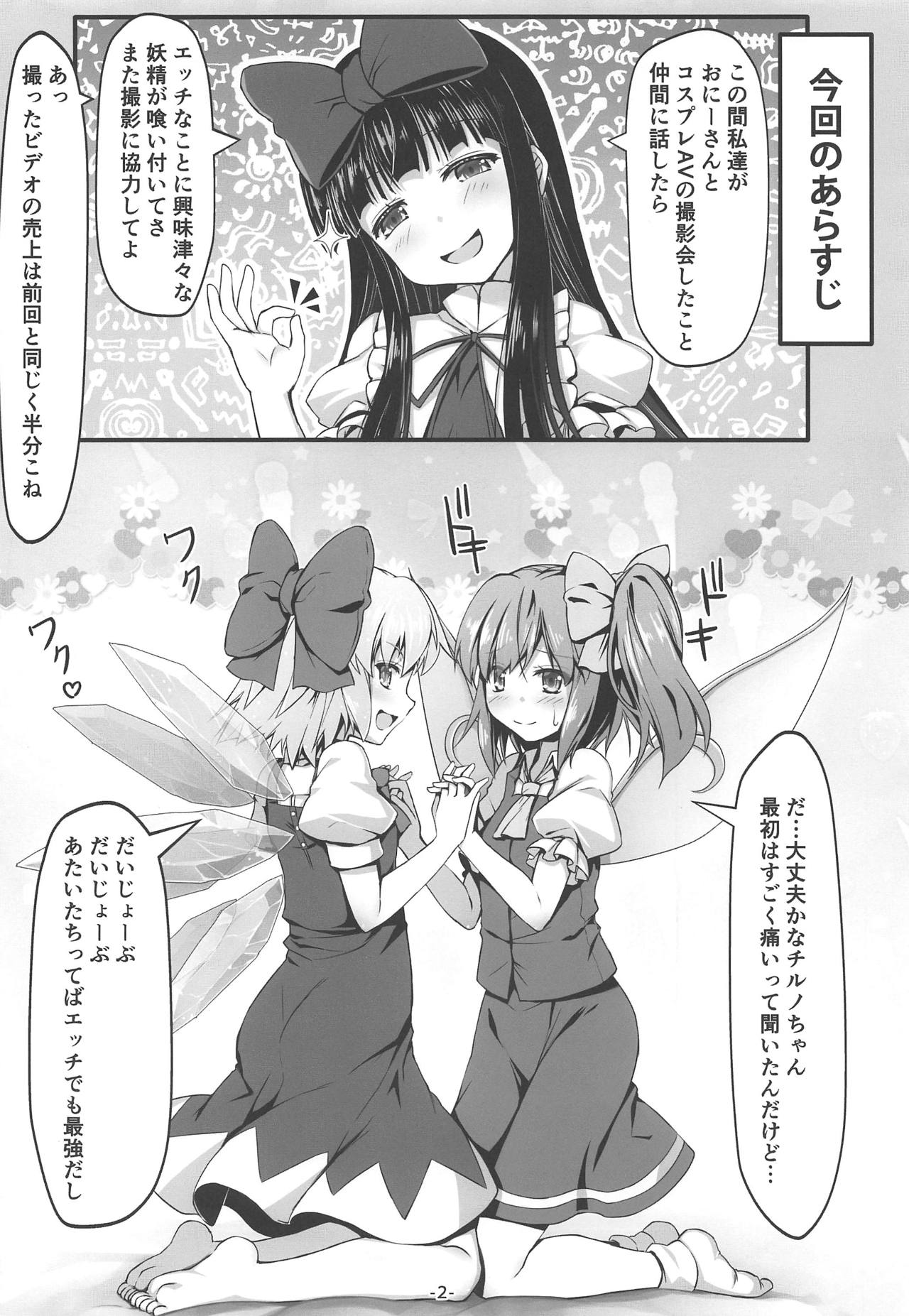 (例大祭16) [あばらんち (チマQ)] 大チルフォトグラフィー (東方Project)