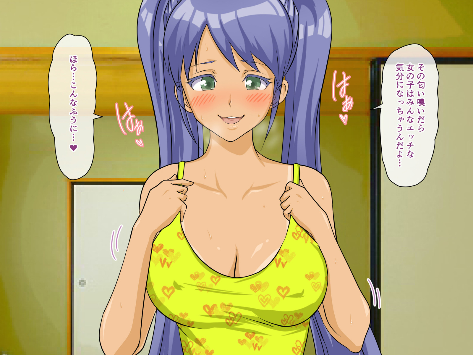 ぼくのなつやみ2〜なつにえ〜