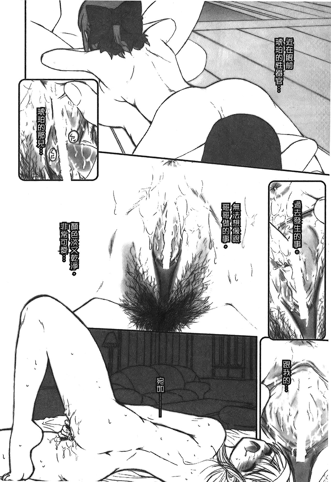[Typemoon] 月之姬 參 (月姬) [中国翻訳]