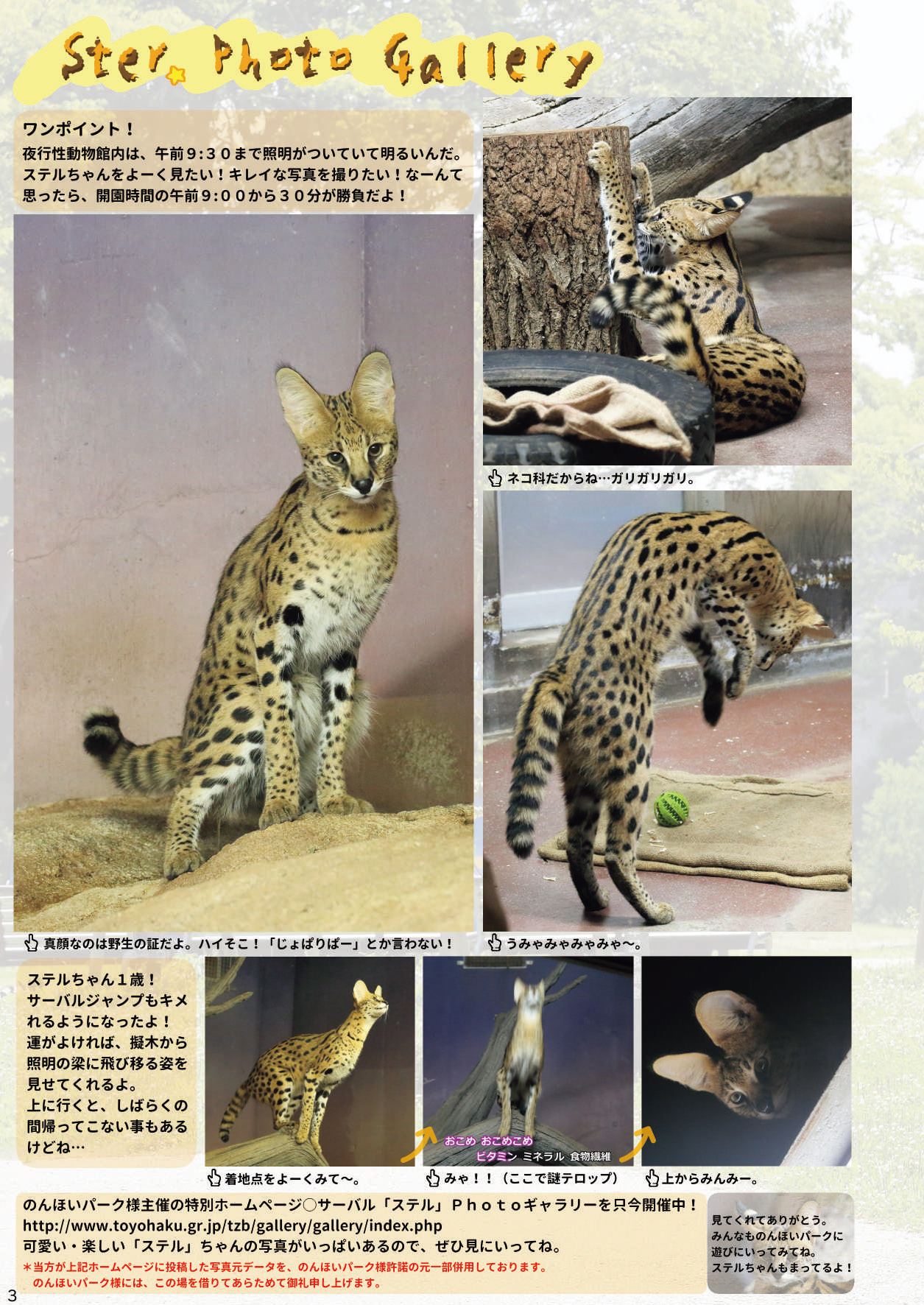 [mayけものフレンズ (よろず)] mayけものフレンズスレ合同誌 (けものフレンズ) [DL版]