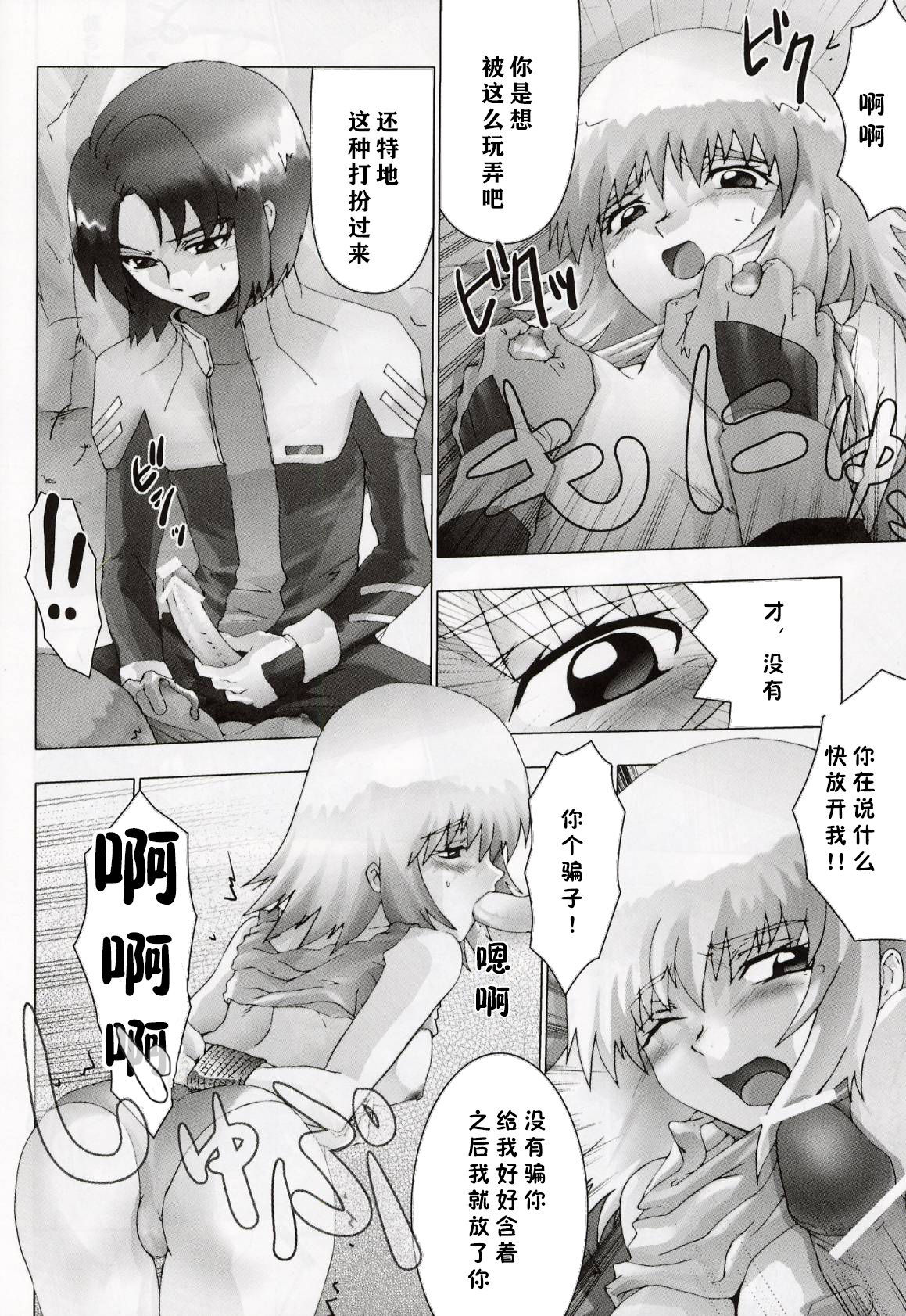ケツメガトンシード【零食汉化組】