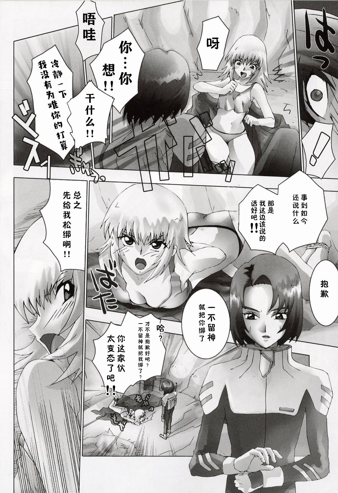 ケツメガトンシード【零食汉化組】