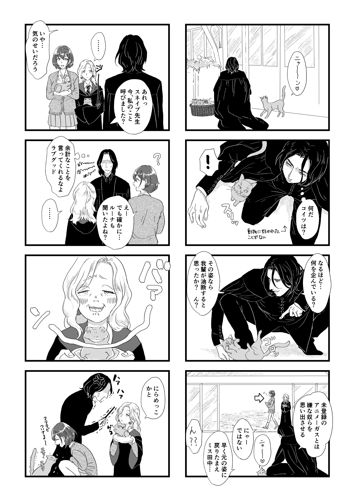 スネイプ教授とハッフルパフ転校生
