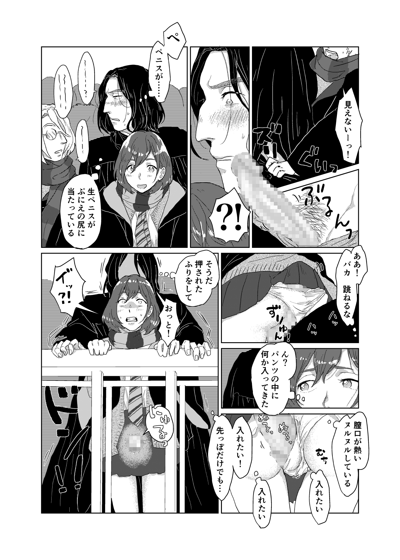 スネイプ教授とハッフルパフ転校生