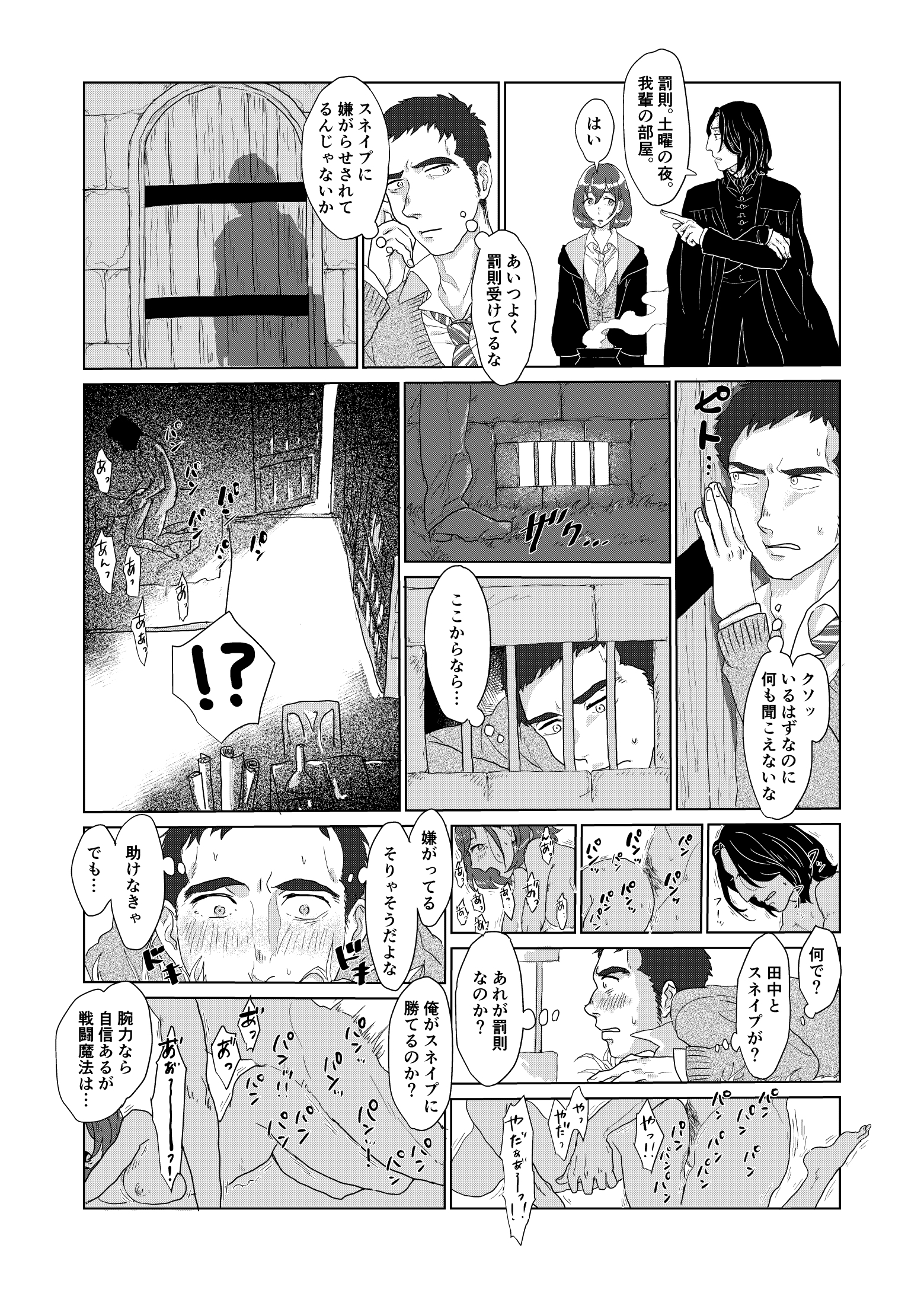 スネイプ教授とハッフルパフ転校生