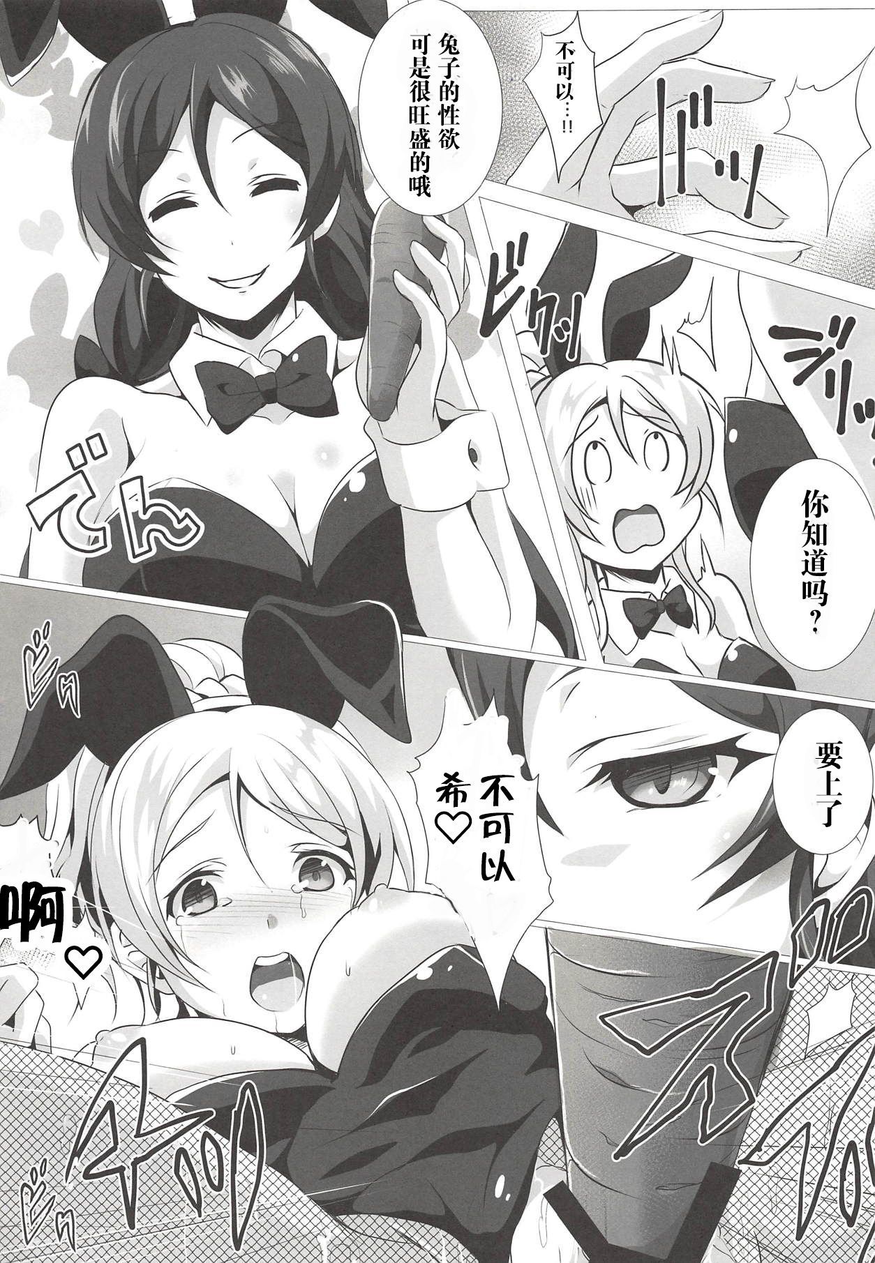 BunnyFes !!