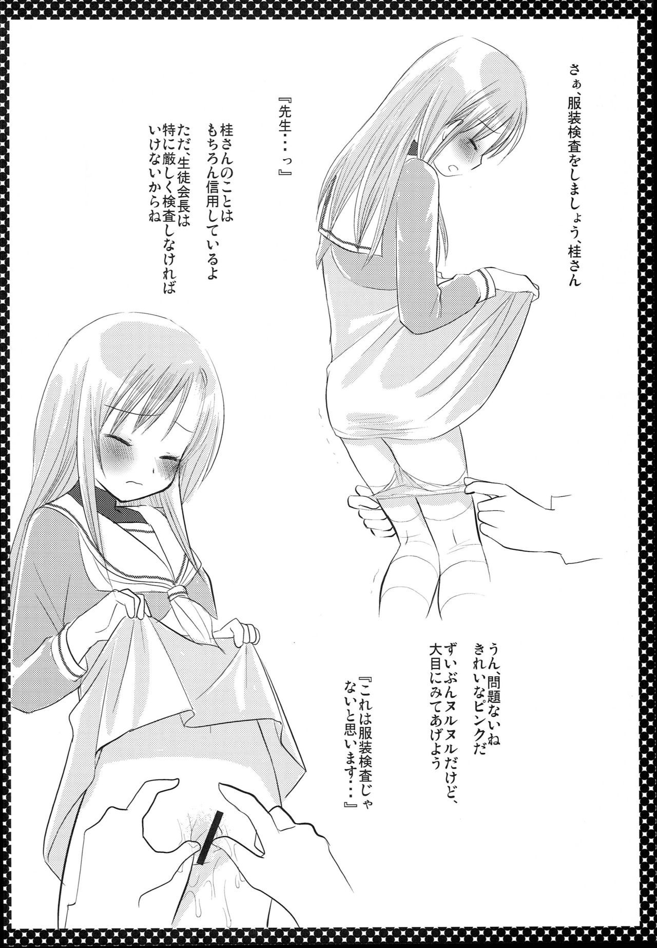 西沢さんからひなぎく