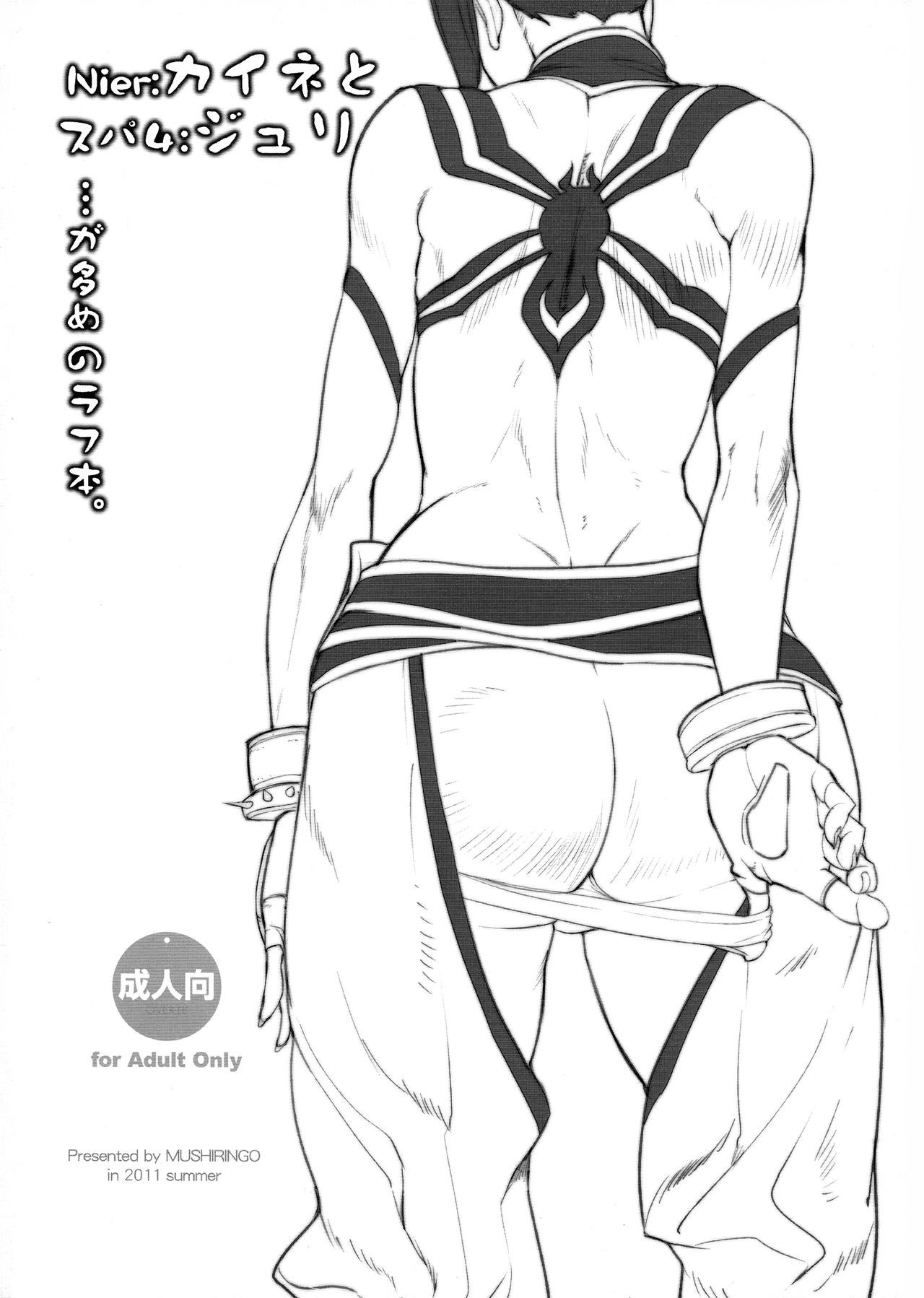 Nier：Kaine to Super 4：Juri ga Oume no Rough Hon