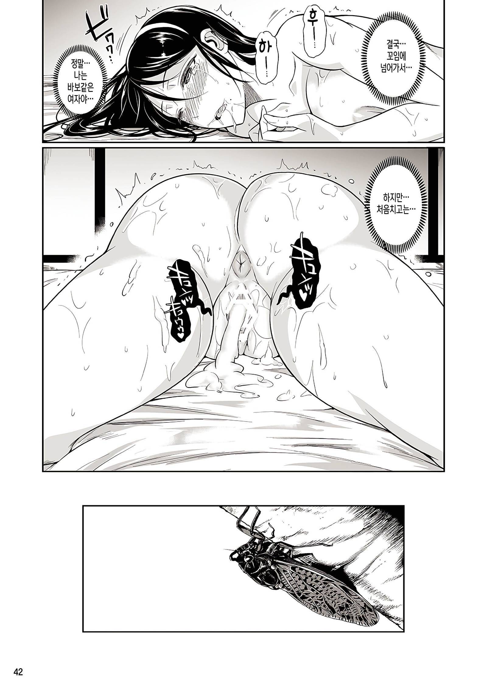 冬中花踪4 | 동충하초4
