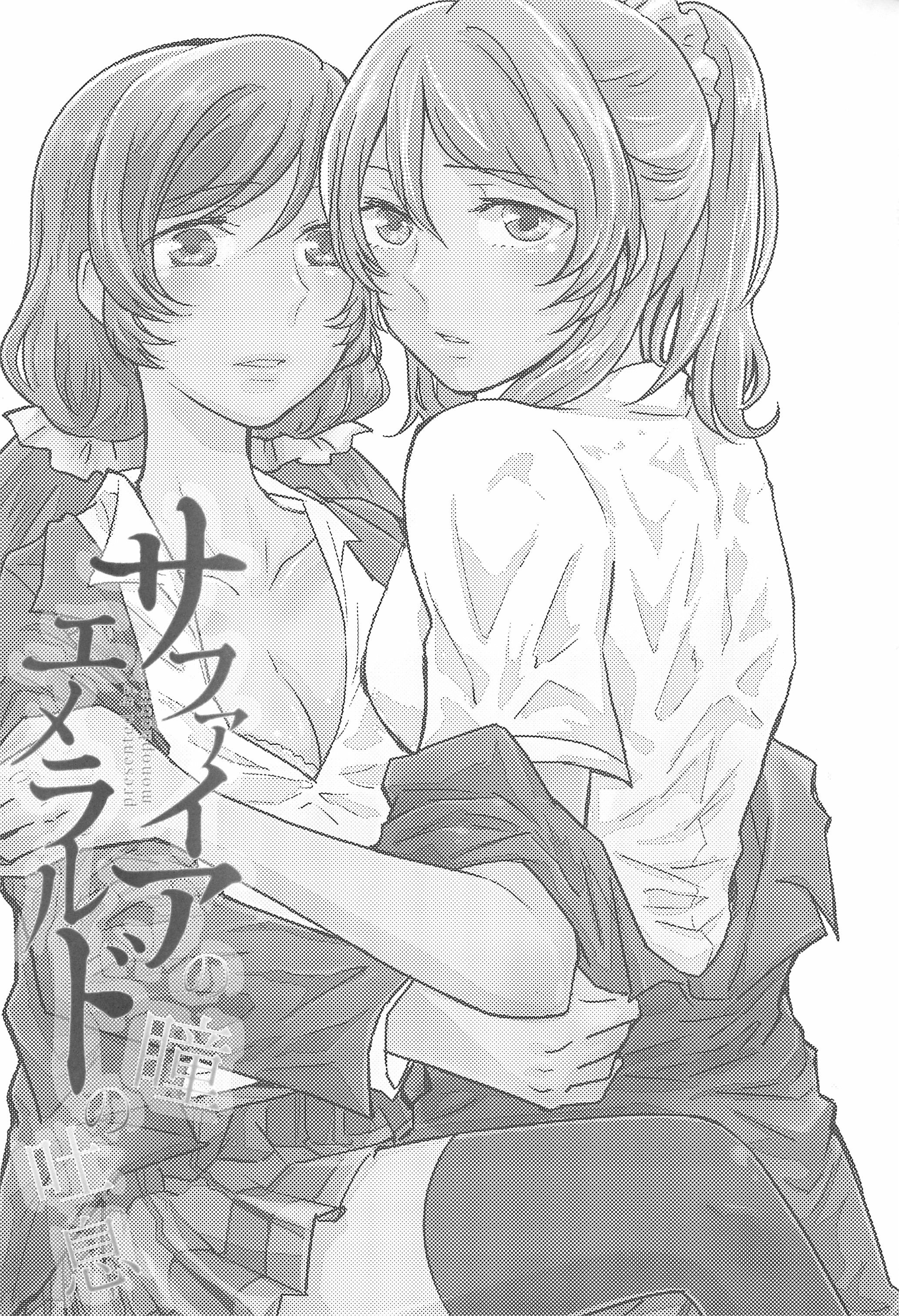 サファイアの瞳エメラルドの瞳