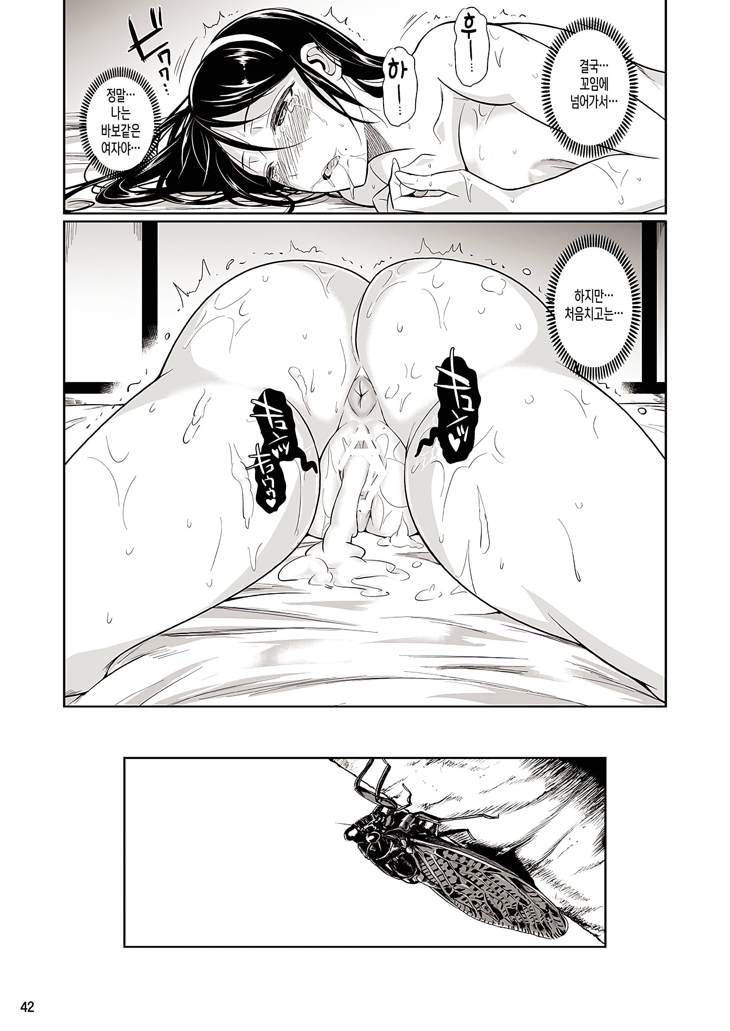 冬中花踪| 동충화초シリーズ