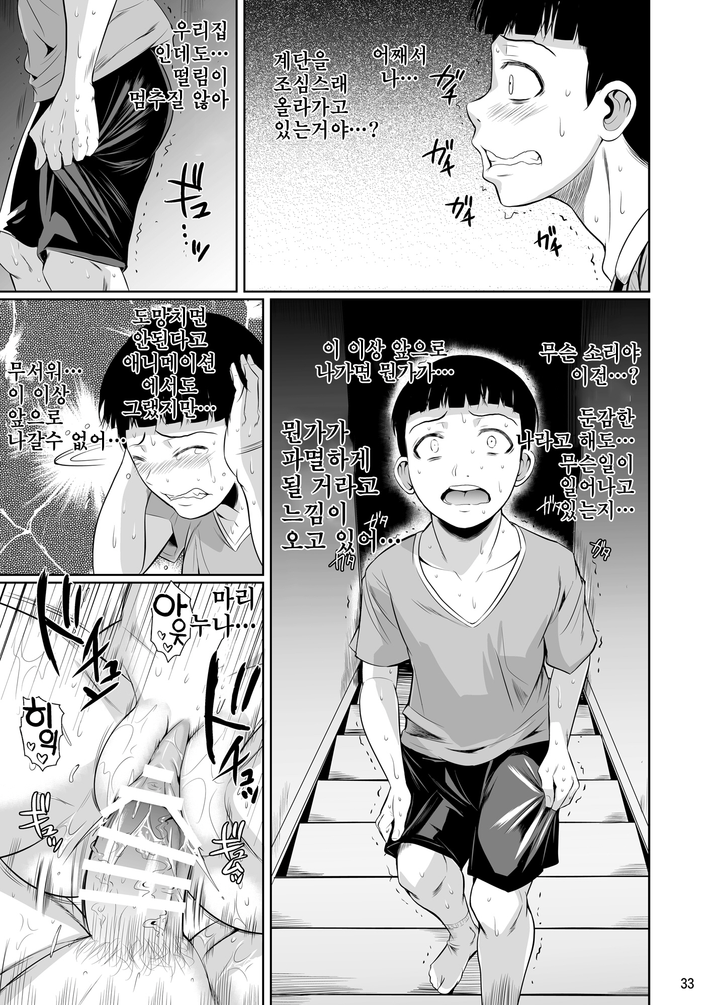 冬中花踪| 동충화초シリーズ