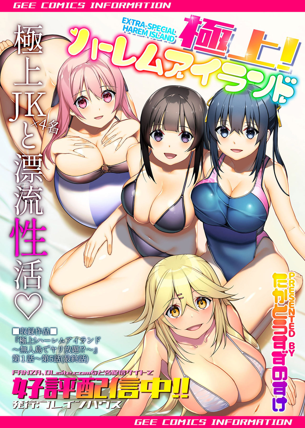 COMIC GEE vol.11