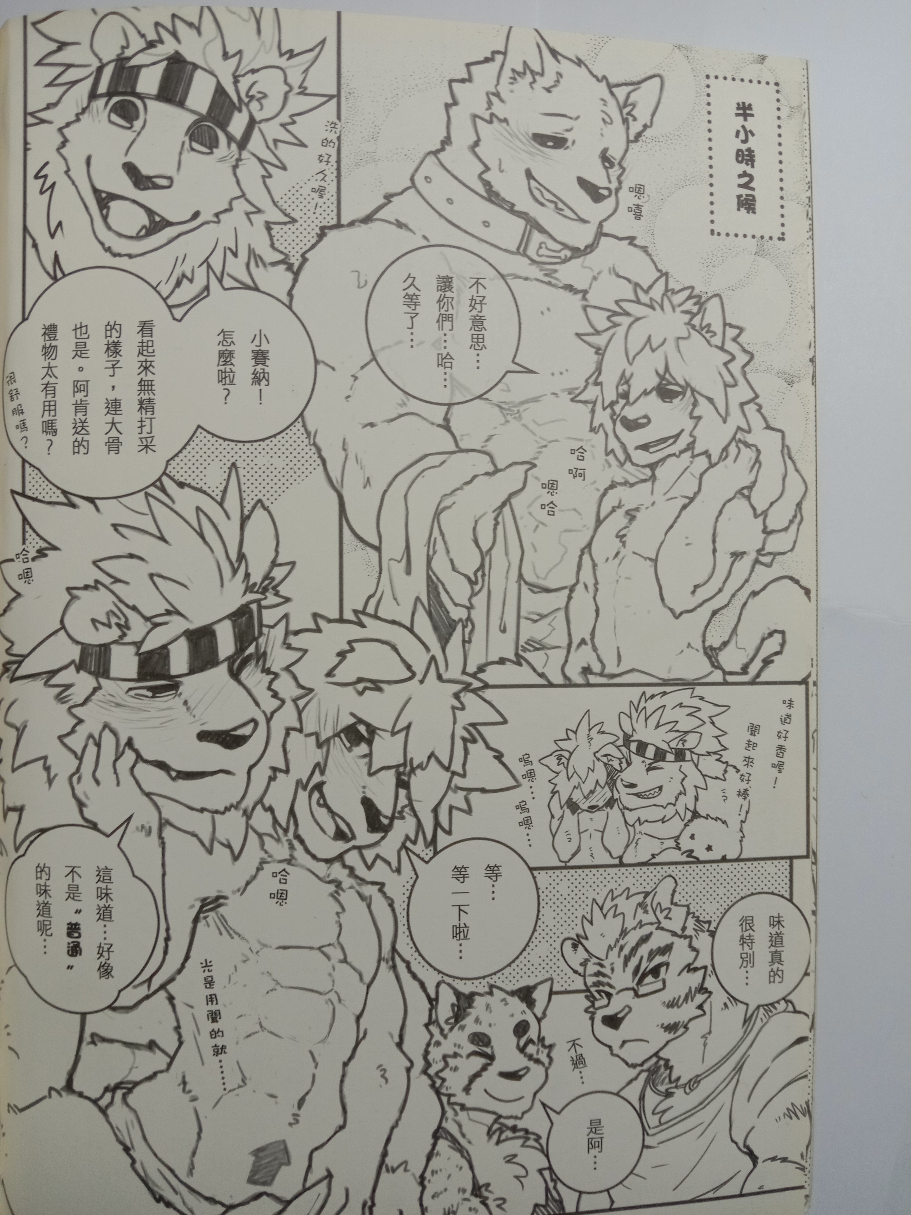 ストリートキャット