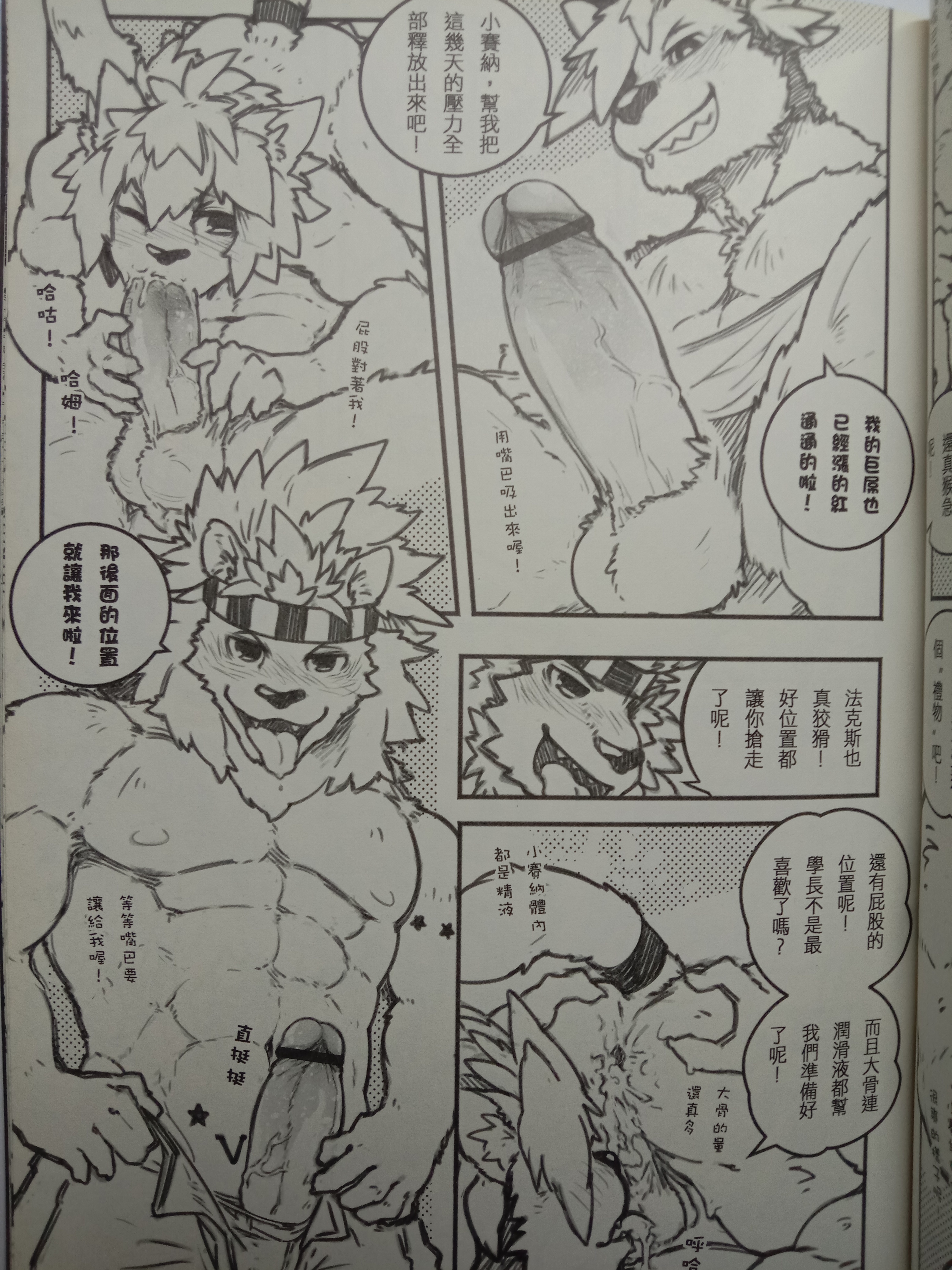 ストリートキャット