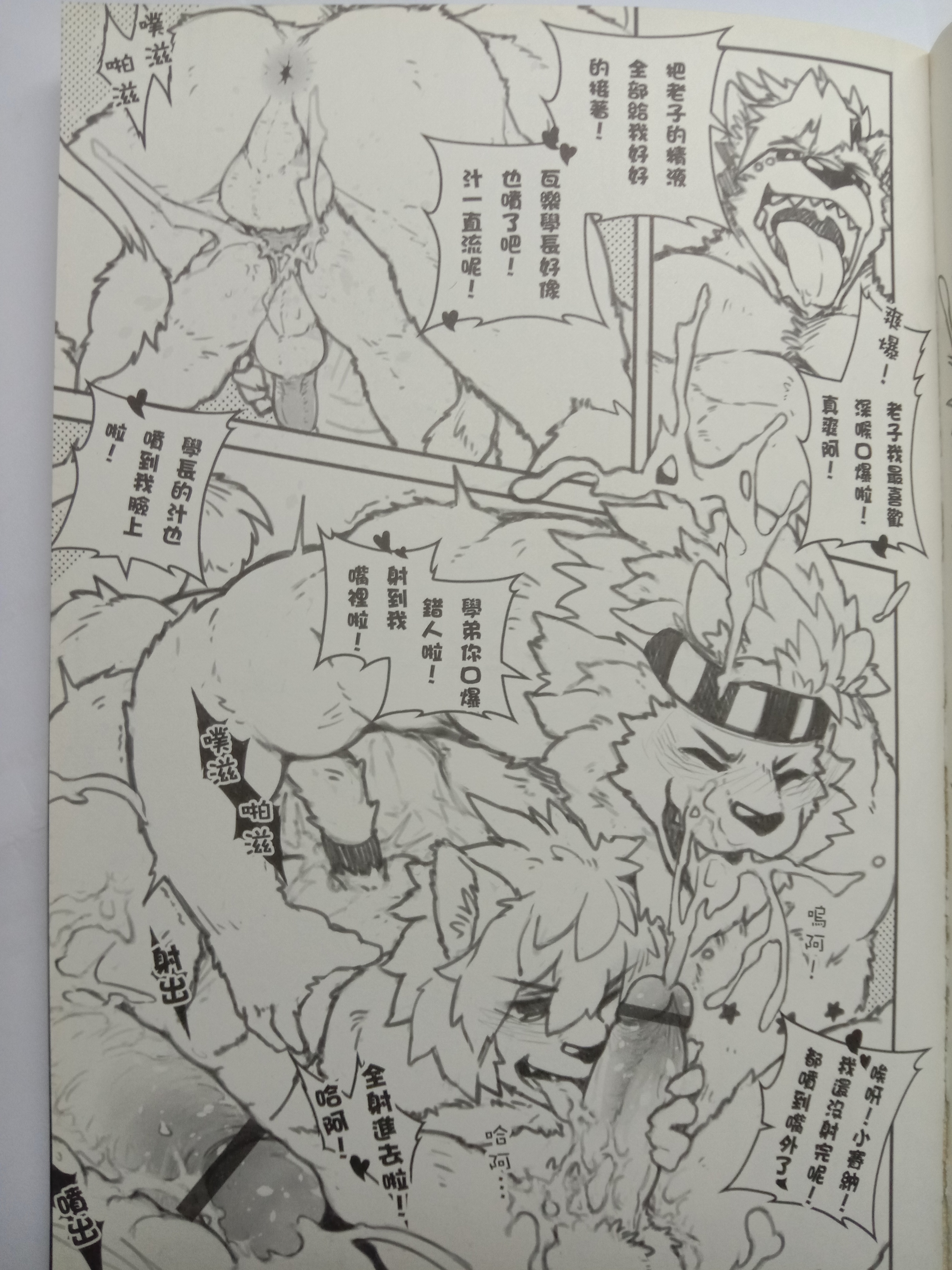 ストリートキャット