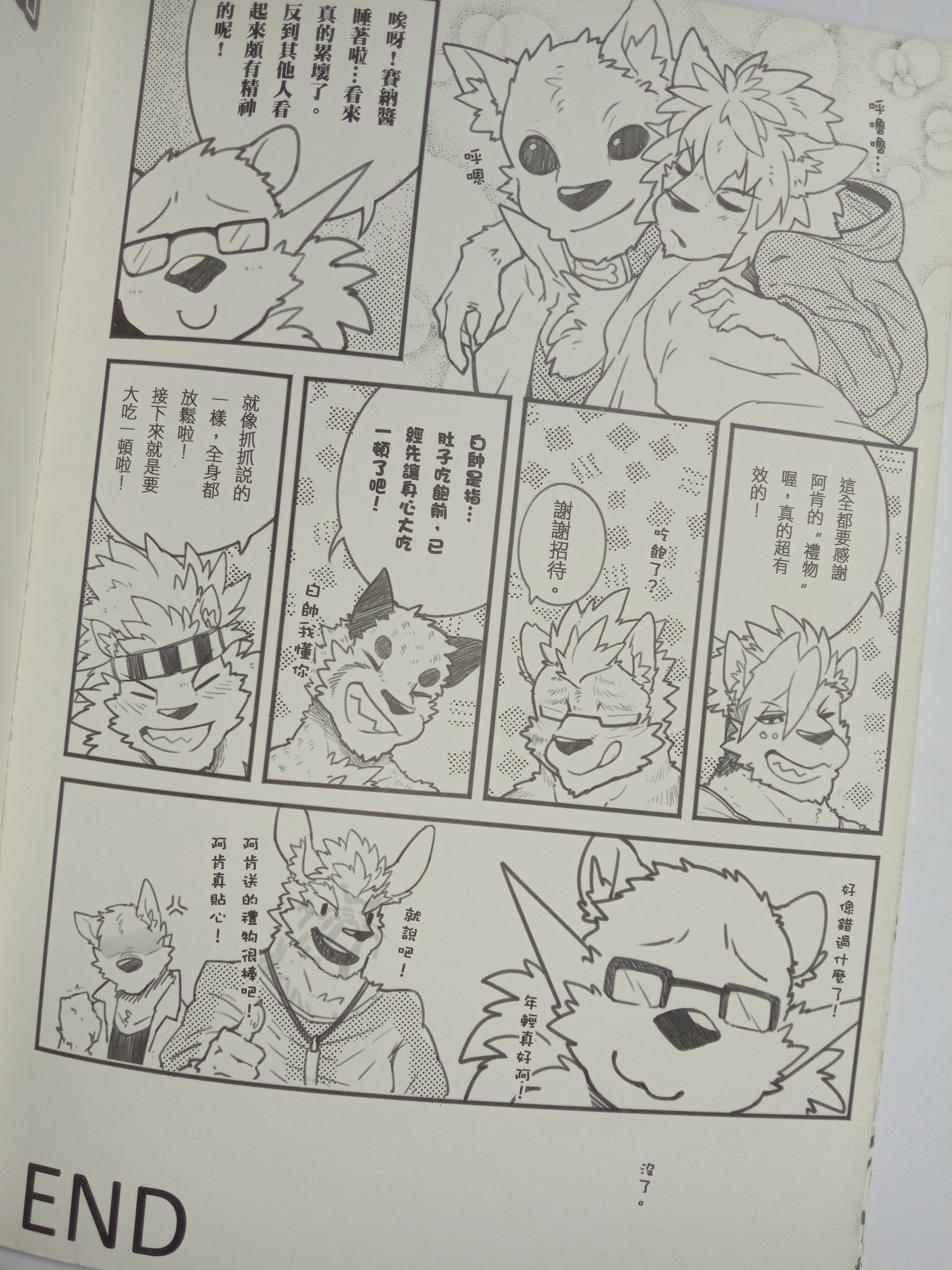 ストリートキャット