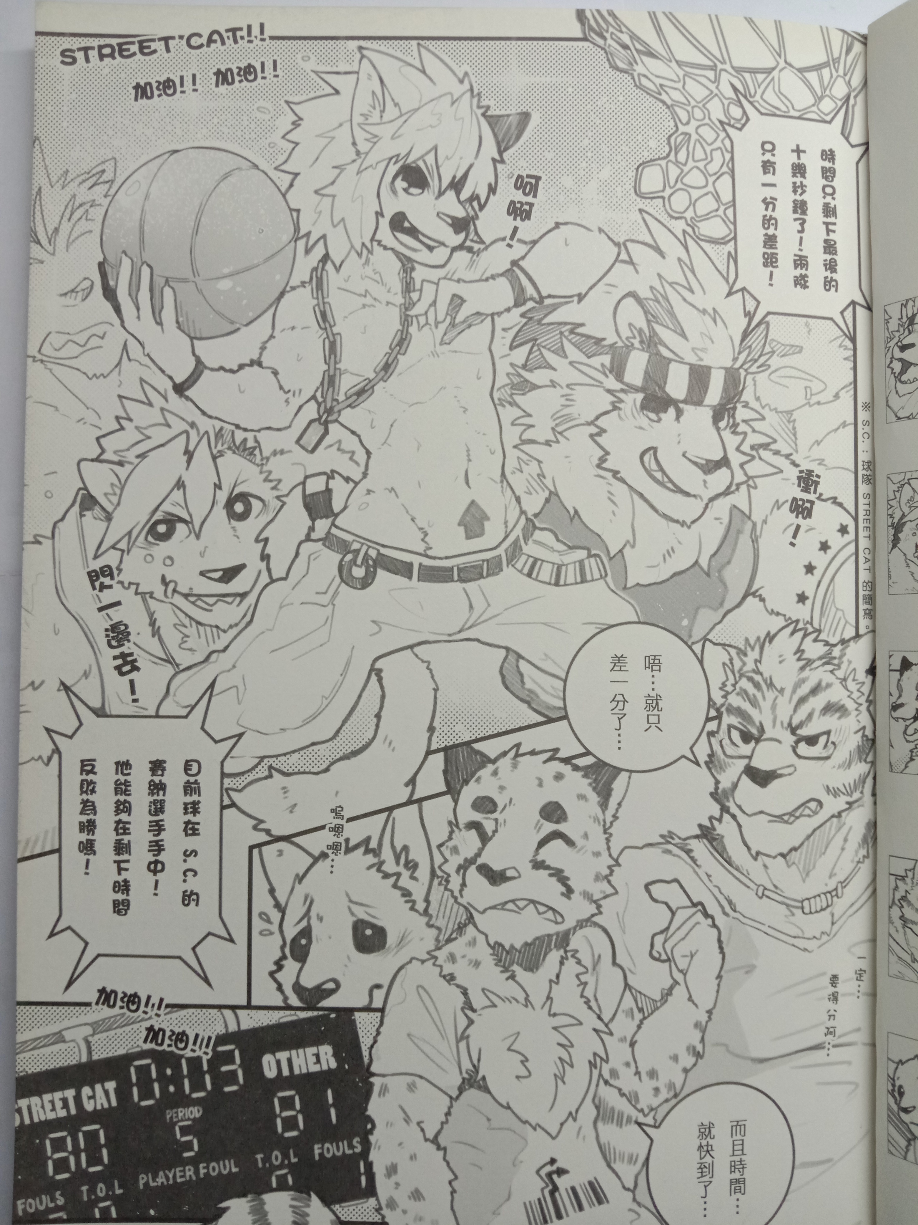 ストリートキャット