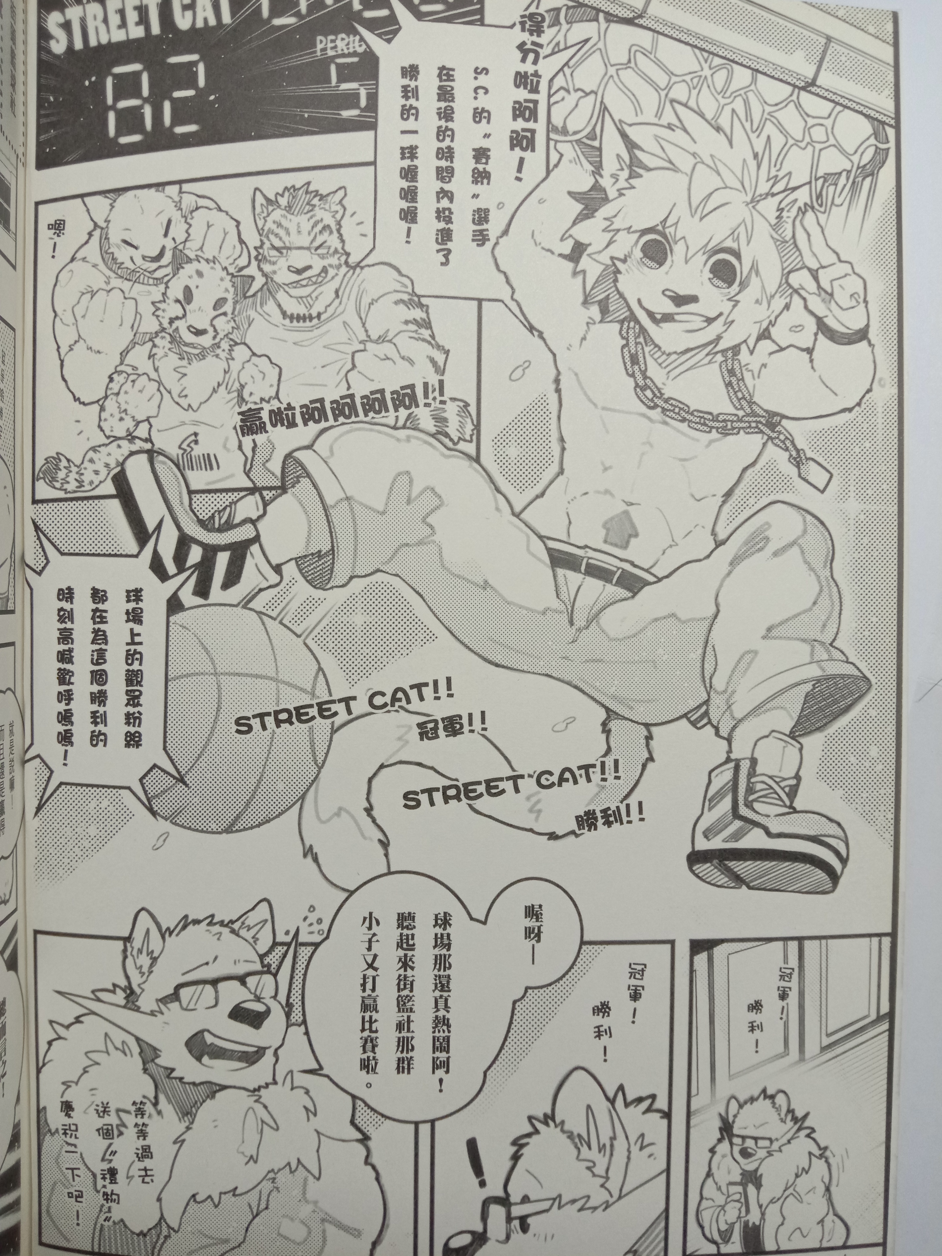 ストリートキャット