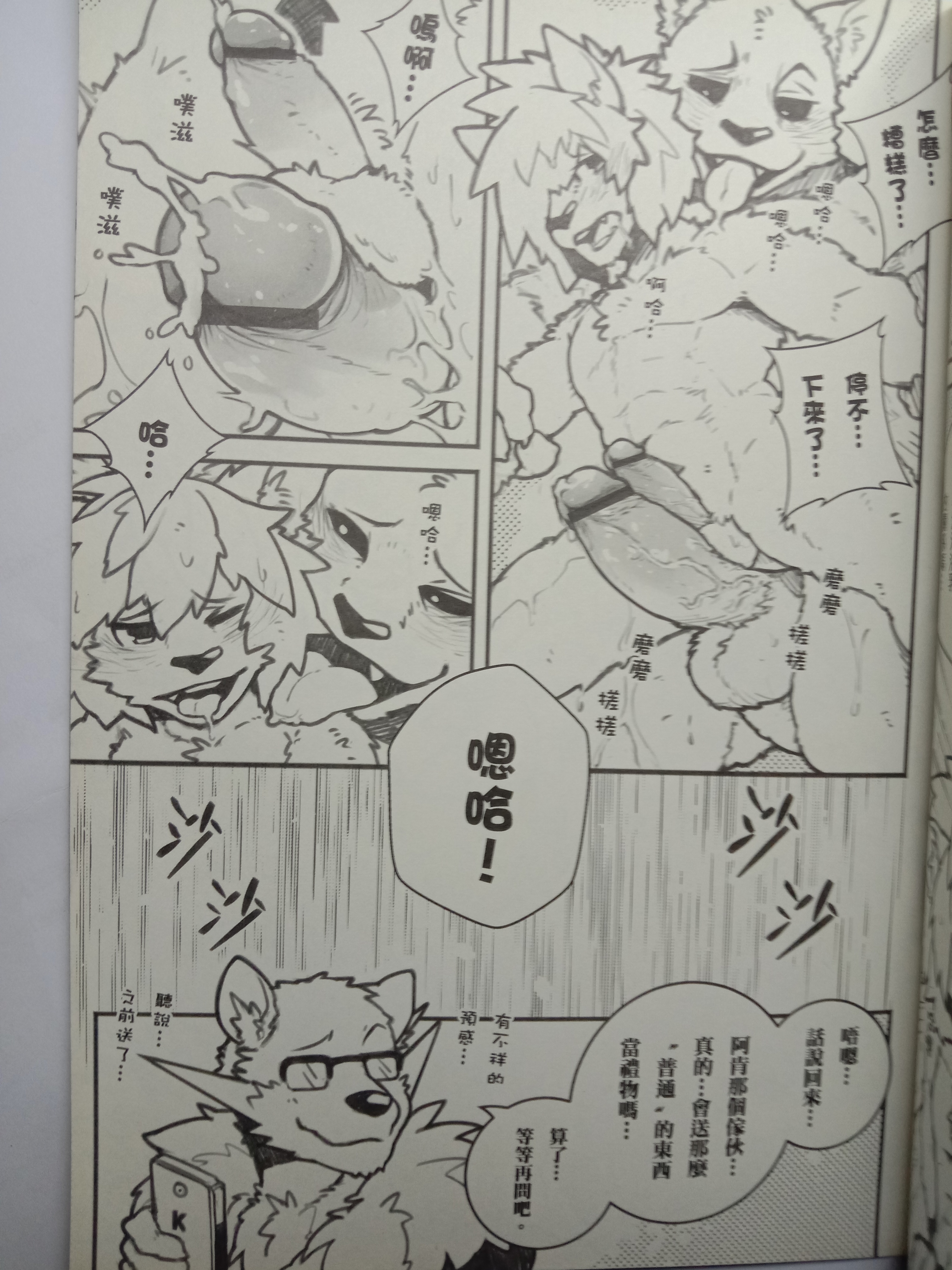 ストリートキャット