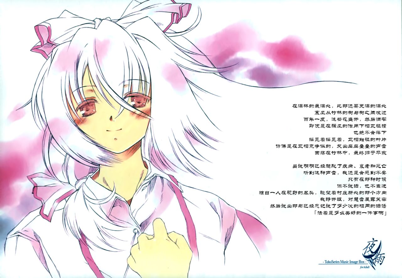 (C67) [NT CONFESS (絵縫桂, あぶりだしざくろ)] 夜ノ雨 (東方Project) [中国翻訳]