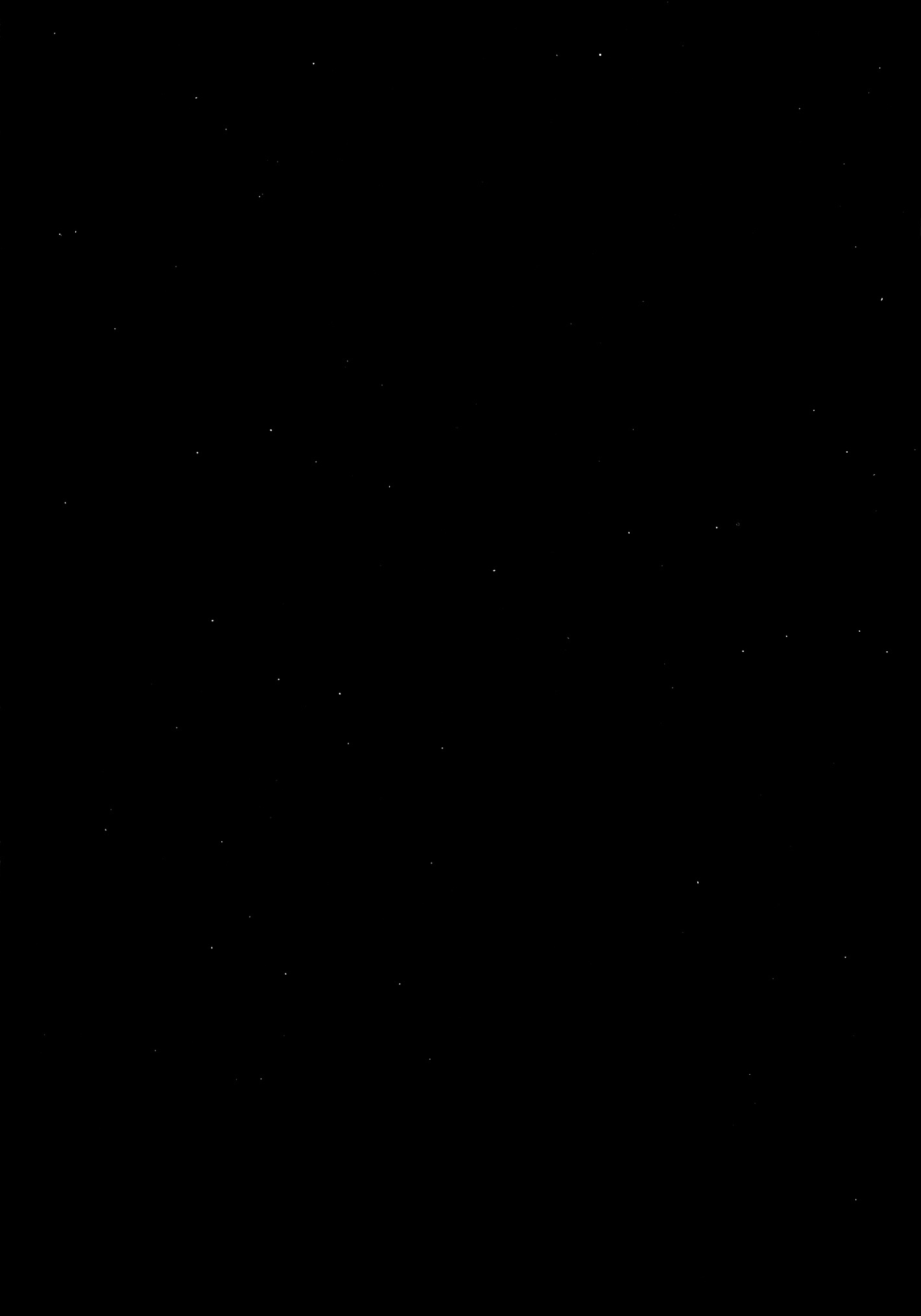 オルガン-ティノ01中国語