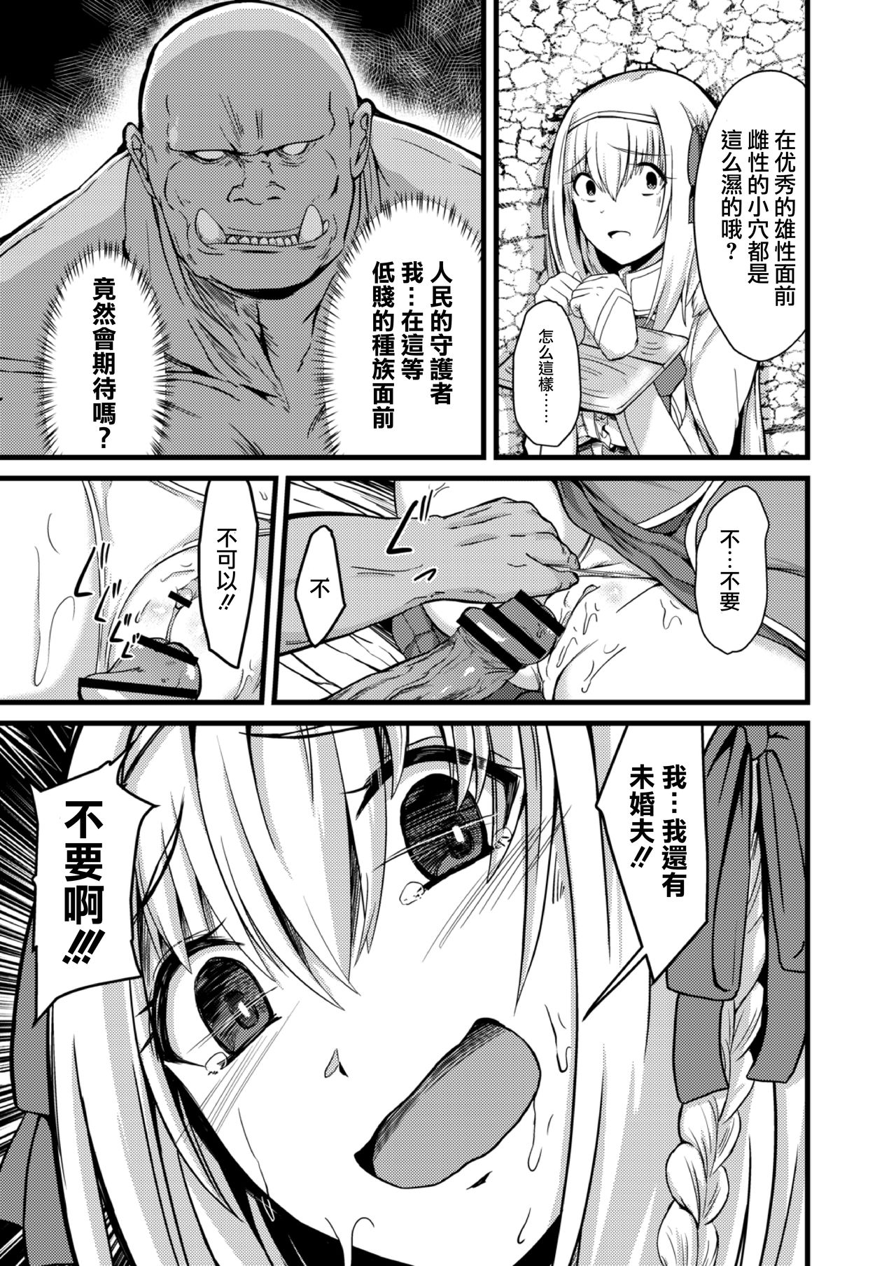 [けーき] NTRファンタズム 1 敗北姫騎士と巨根オーク [中国翻訳]
