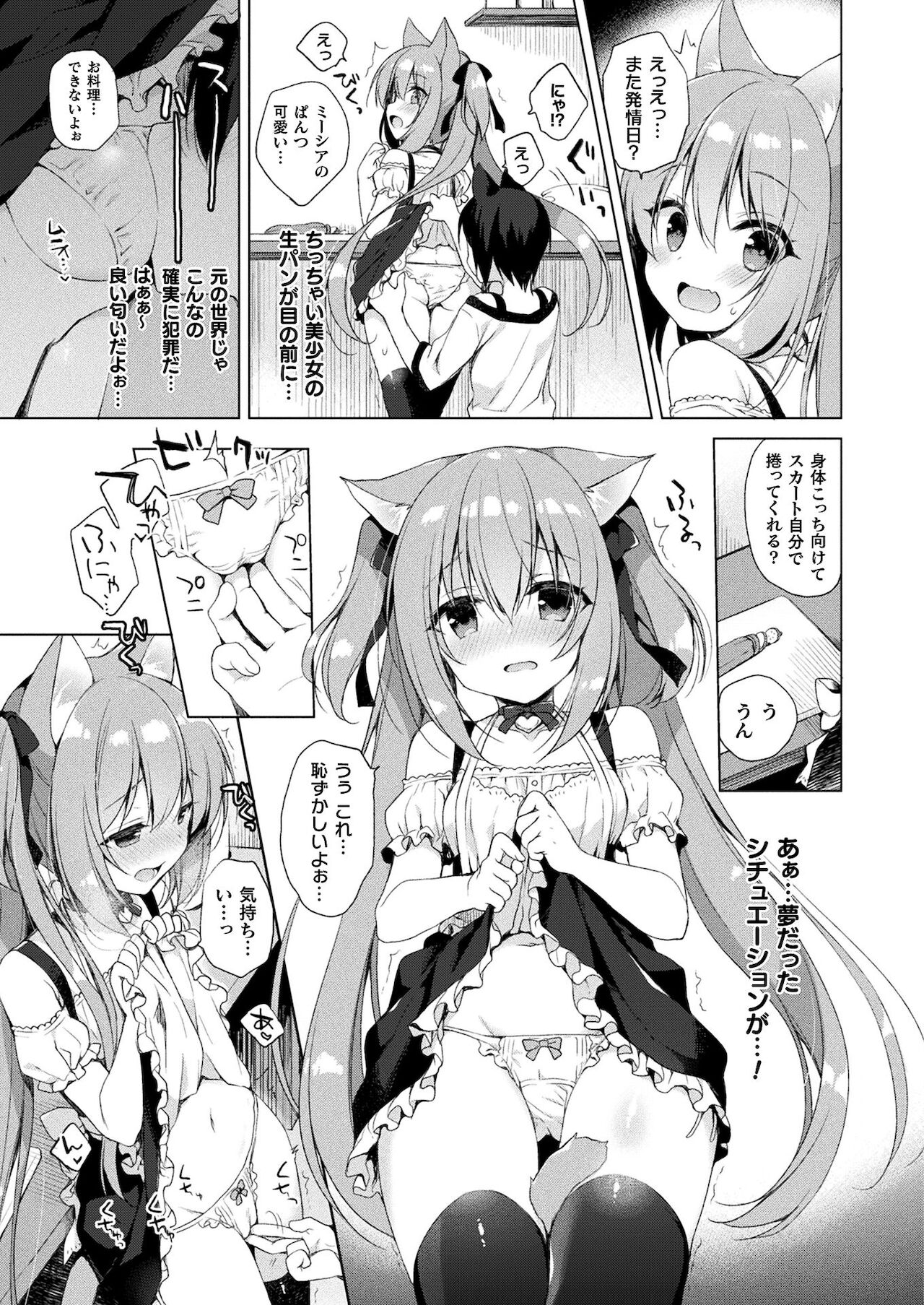 コミックアンリアル ザ・ベストファンタジー同人誌コレクション [DL版]