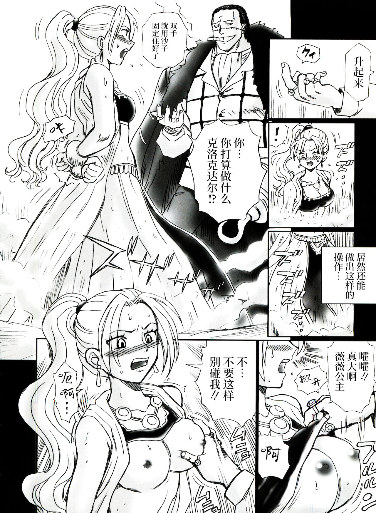 (C73) [RAT TAIL (IRIE YAMAZAKI)] TAIL-MAN NEFERTALI VIVI BOOK (ワンピース) [中国翻訳]