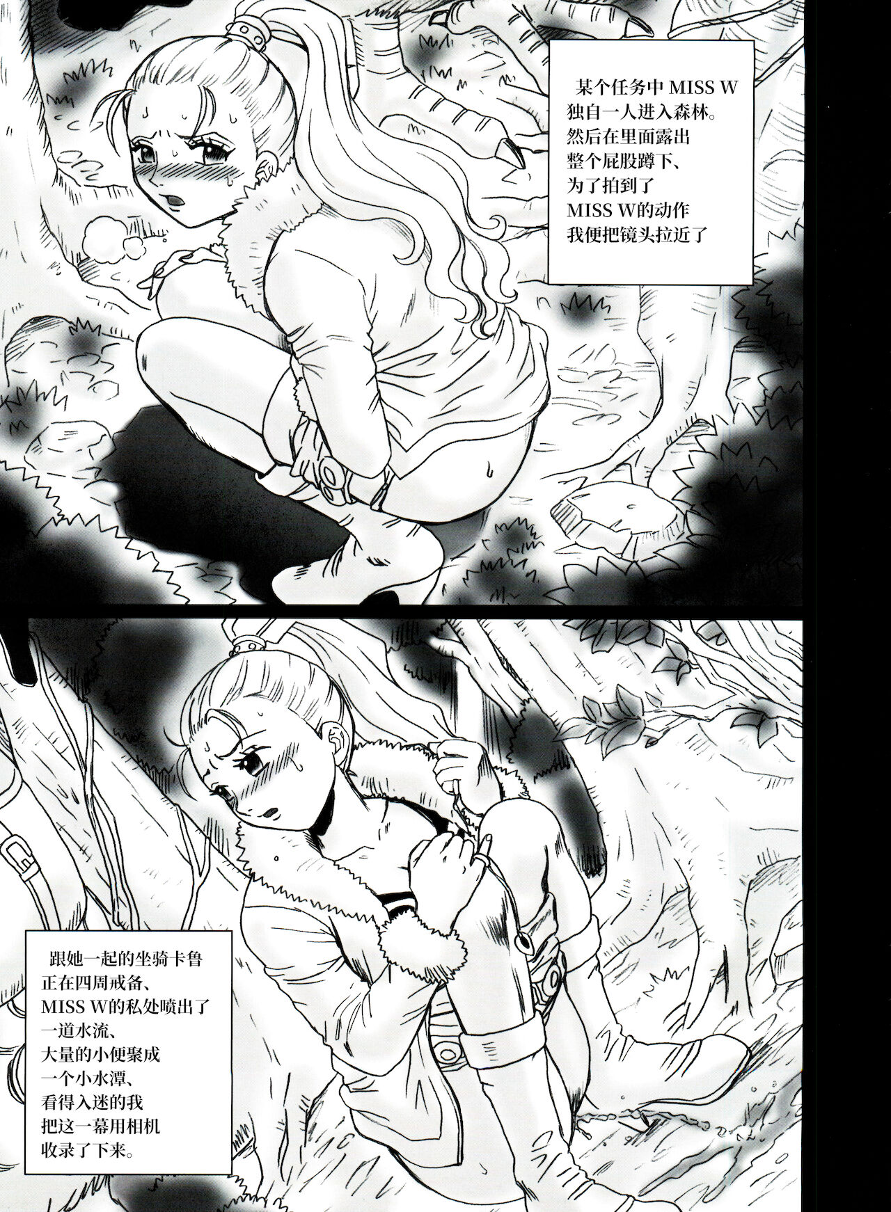 (C73) [RAT TAIL (IRIE YAMAZAKI)] TAIL-MAN NEFERTALI VIVI BOOK (ワンピース) [中国翻訳]