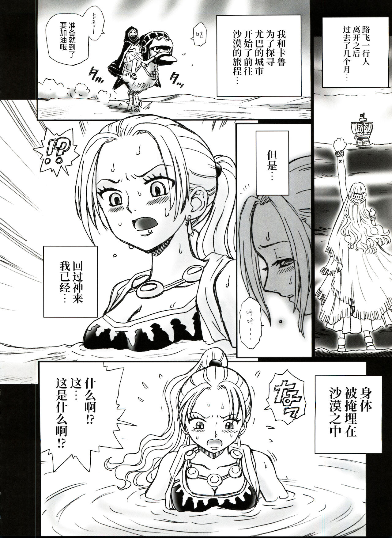(C73) [RAT TAIL (IRIE YAMAZAKI)] TAIL-MAN NEFERTALI VIVI BOOK (ワンピース) [中国翻訳]