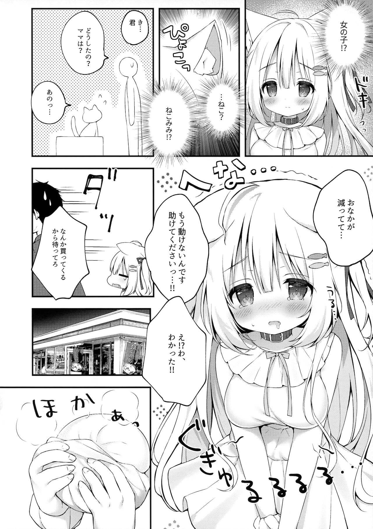 (コミティア138) [MochiPeach (桃豆こまもち)] 飼ってください、ご主人さま！