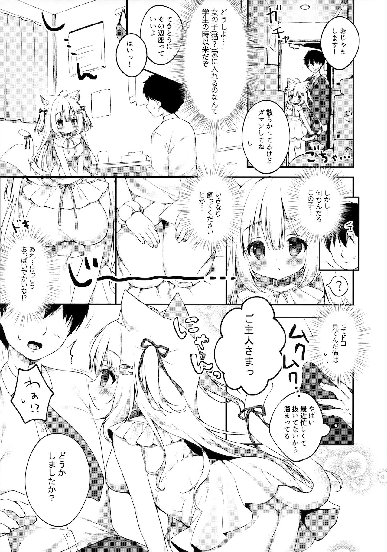 (コミティア138) [MochiPeach (桃豆こまもち)] 飼ってください、ご主人さま！