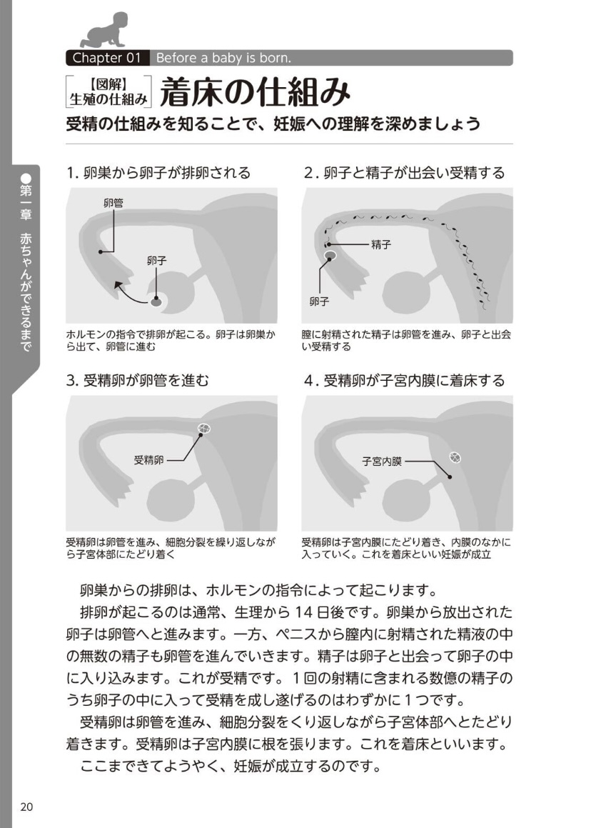 [マニアックラブ研究会] やらなくてもまんがで解る性交と妊娠 赤ちゃんのつくり方