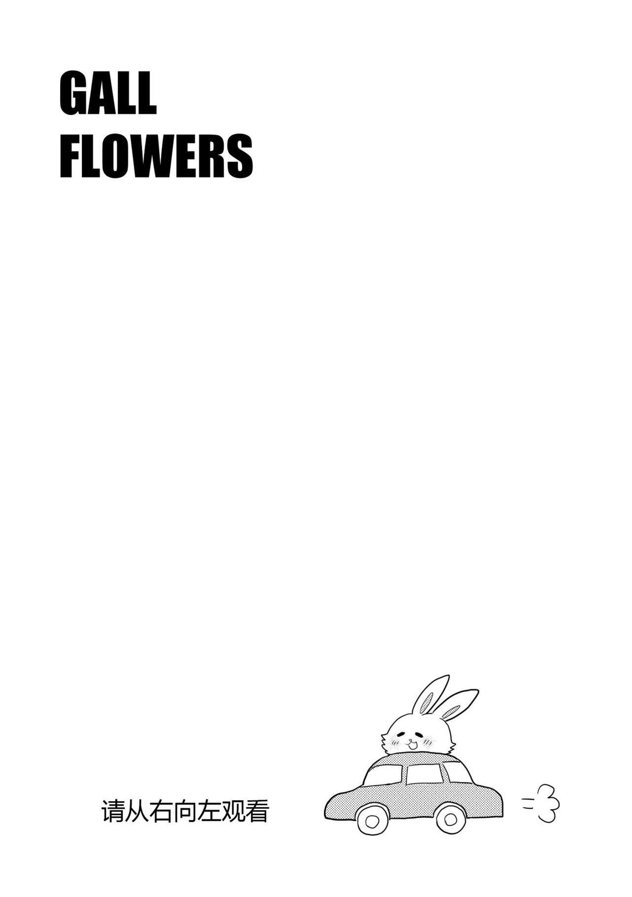 [ふか] Gall Flowers (ファイナルファンタジーXIV) [中国翻訳]