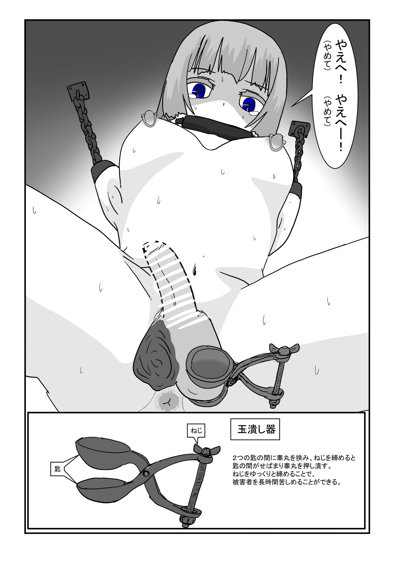 [ 科Y総研] 亡国王女の末路